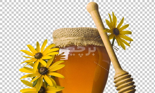 عکس ظرف عسل