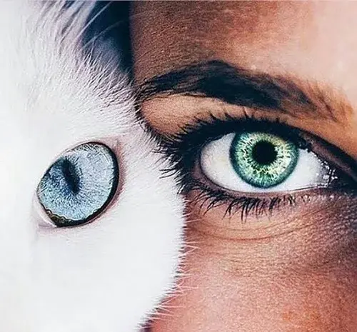 عکس پروفایل چشمان تو