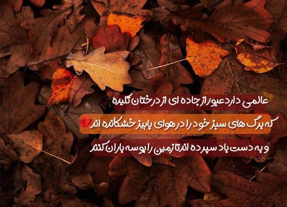 عکس استوری پاییز و بارون