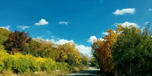 عکس پاییزی سی سخت