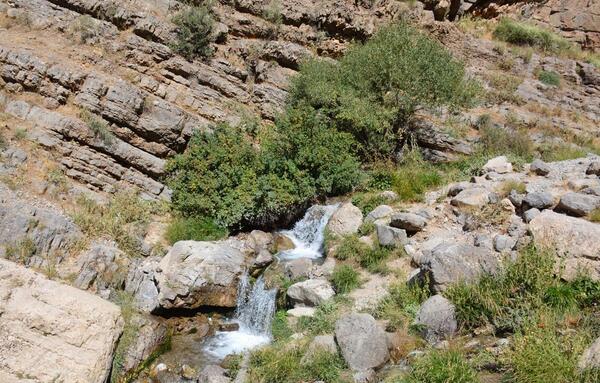 عکس پاییزی سی سخت