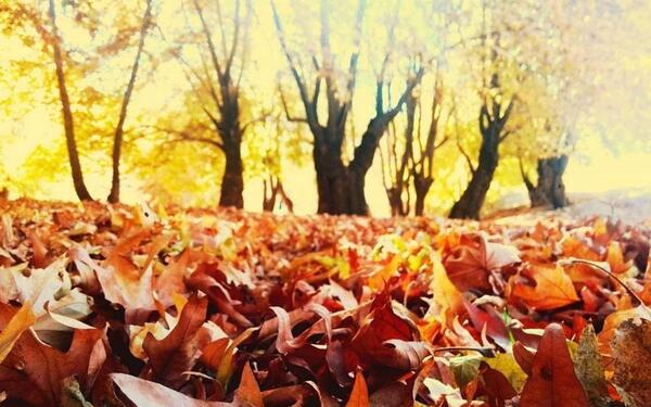 عکس پاییزی سی سخت