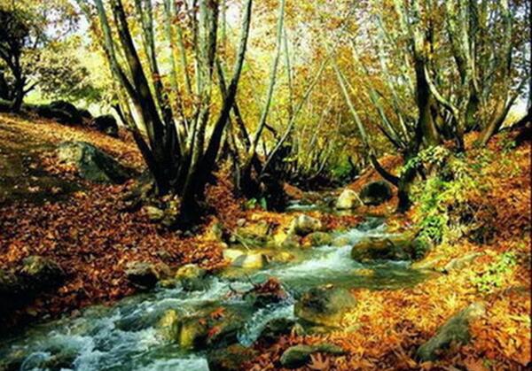 عکس پاییزی سی سخت