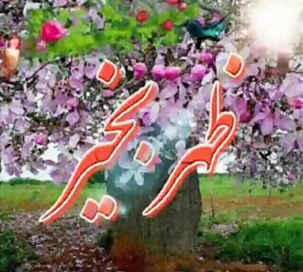 عکس بعد از ظهر بخیر