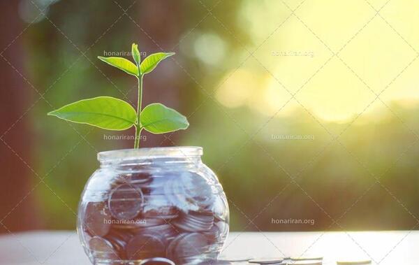 عکس سبزه داخل شیشه