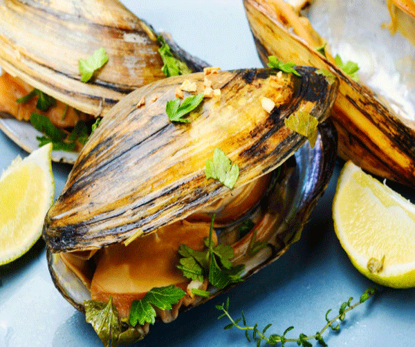عکس غذای صدف