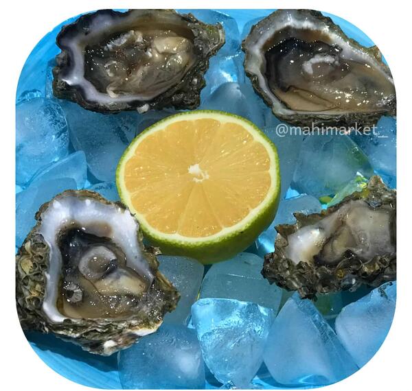 عکس غذای صدف