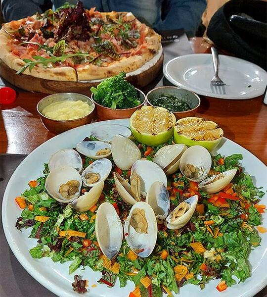 عکس غذای صدف