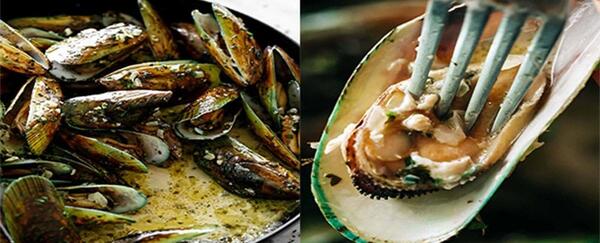 عکس غذای صدف