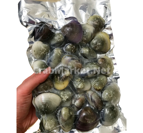 عکس غذای صدف