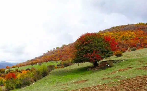 عکس روستای پابند