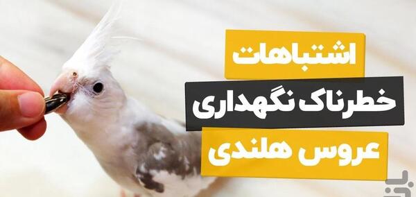 عکس عروس هلندی کیوت برای پروفایل