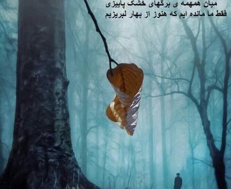 عکس پروفایل آغاز پاییز