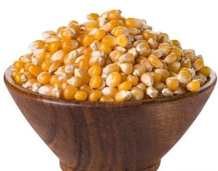 عکس ذرت مکزیکی خام