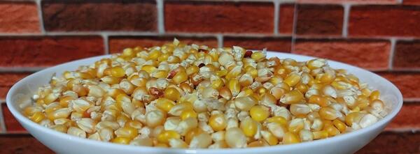 عکس ذرت مکزیکی خام