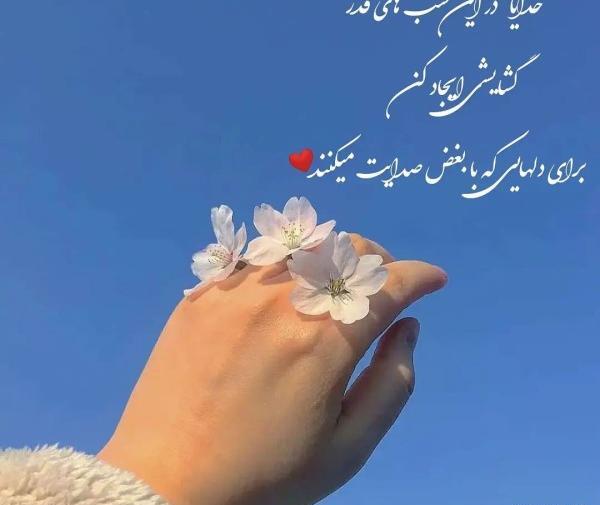 عکس نوشته علی آن شیر خدا