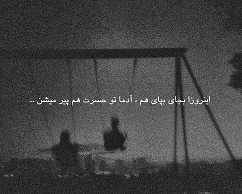 عکس دپ گریه دار
