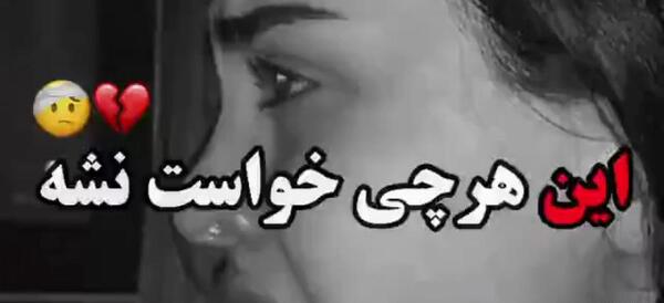عکس دپ گریه دار