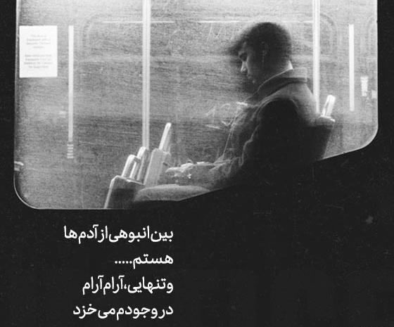 عکس دپ گریه دار