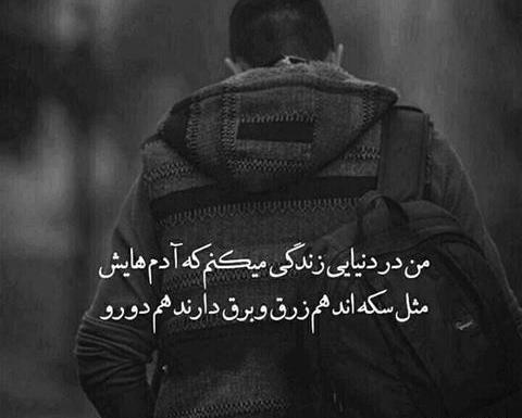 عکس دپ گریه دار