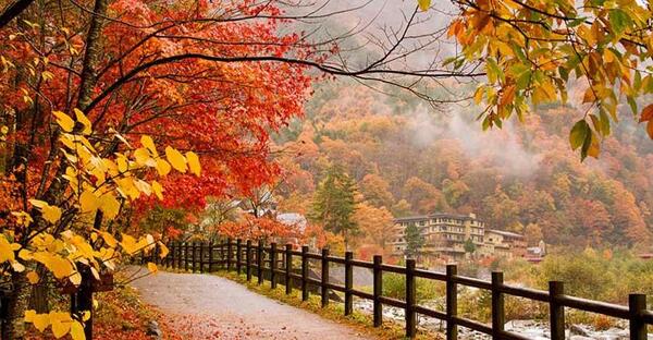 عکس برگ های فصل پاییز
