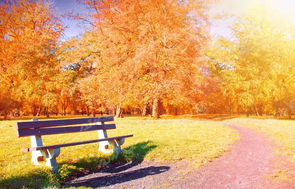 عکس برگ های فصل پاییز