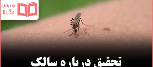 عکس پشه سالک