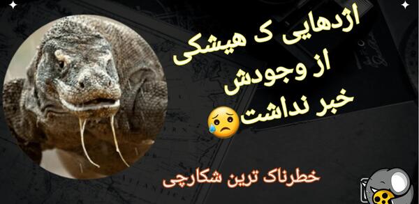 عکس ترسناک ترین اژدهای جهان