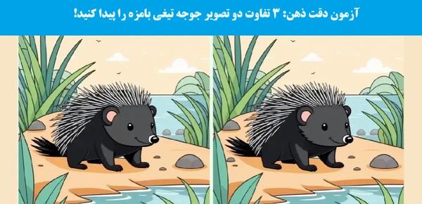 عکس جوجه تیغی کیوت