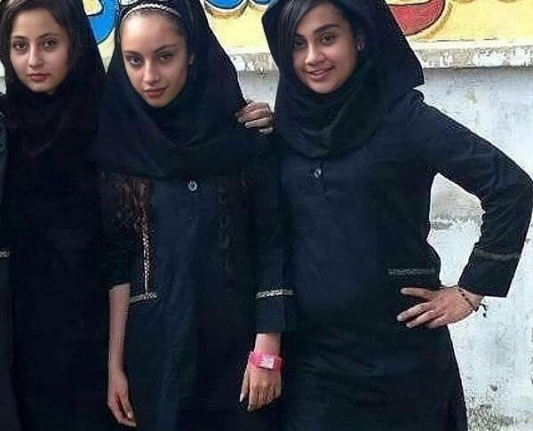 عکس نود ترلان پروانه