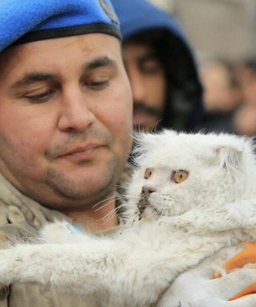 عکس آوار زلزله