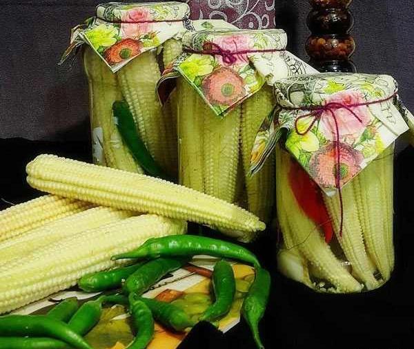 عکس ذرت شور