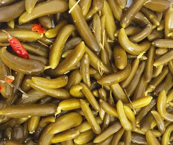 عکس ذرت شور