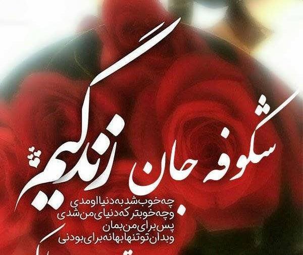 عکس نوشته ی اسم شکوفه
