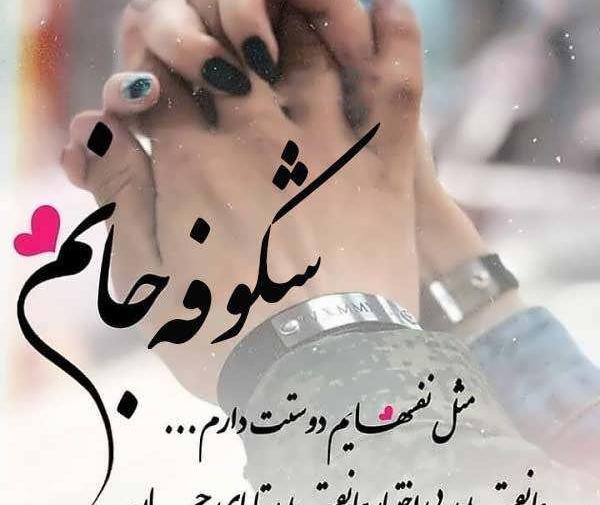 عکس نوشته ی اسم شکوفه