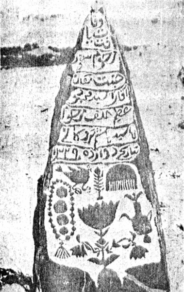 عکس شیر روی سنگ قبر