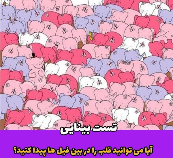 عکس فیل را پیدا کنید