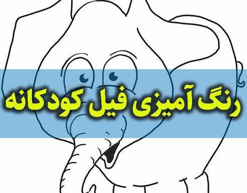عکس فیل را پیدا کنید