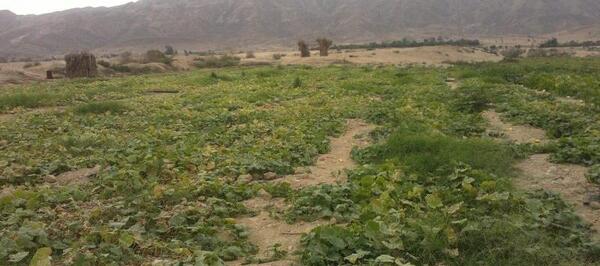 عکس روستای علی اباد