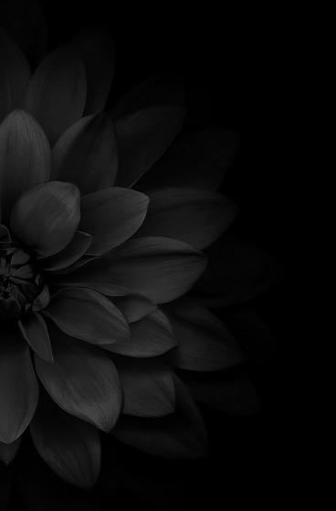 عکس نوشته با صفحه سیاه