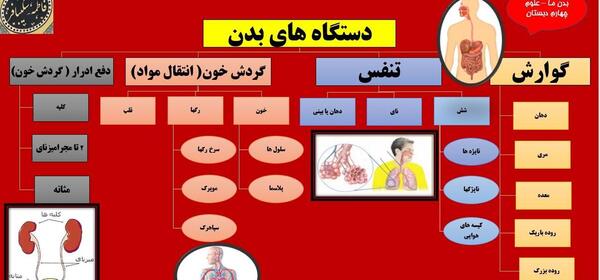 عکس مفهومی طراحی