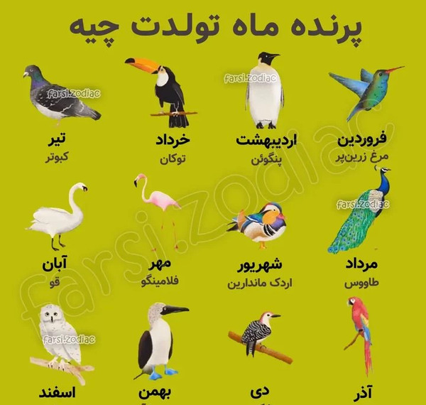 عکس حیوانات هر ماه