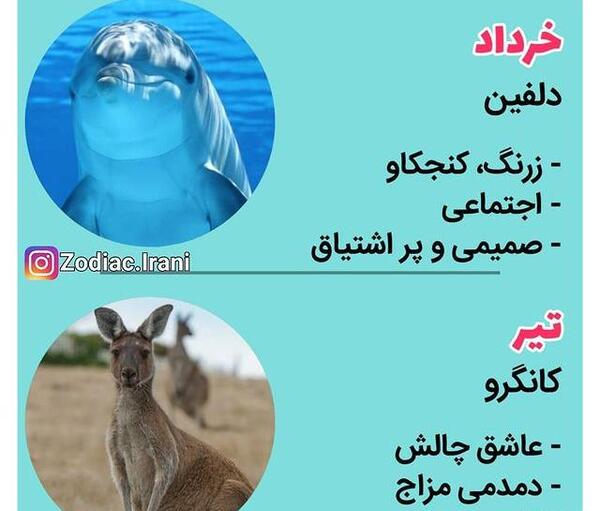 عکس حیوانات هر ماه