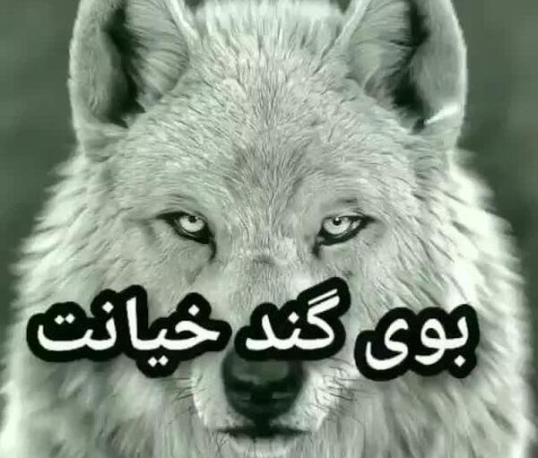 عکس پروفایل خیانت همسر