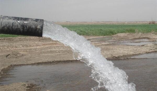عکس پروانه چاه