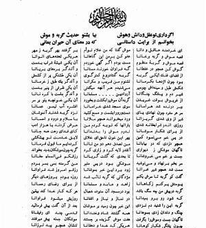 عکس موش فضول