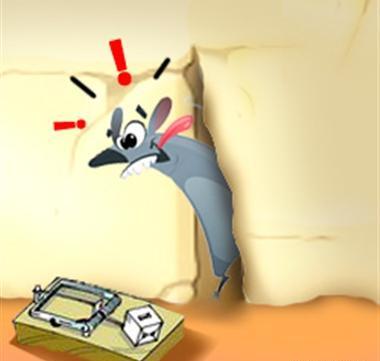 عکس موش فضول