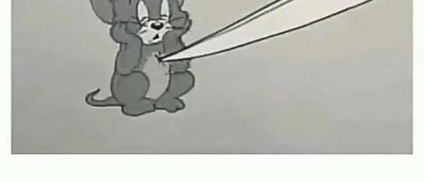 عکس موش فضول