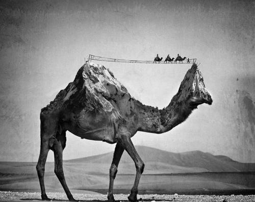 عکس مفهومی سیاسی