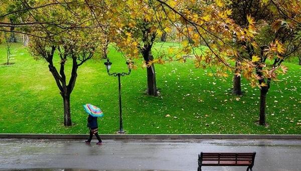 عکس از پاییز بارانی